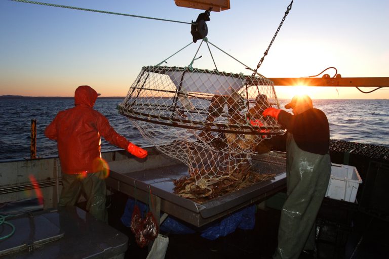 Gestion durable des pêches Agence Mamu Innu Kaikusseth (AMIK)